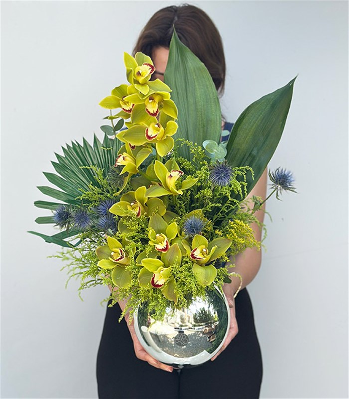 Top Vazoda Yeşil Cymbidium Orkide