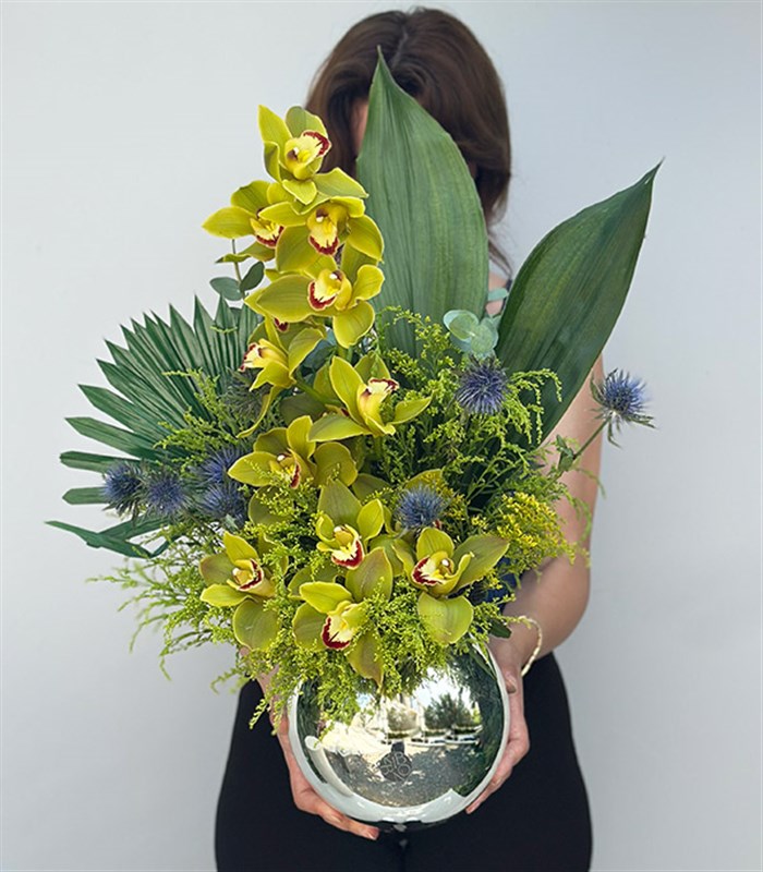 Top Vazoda Yeşil Cymbidium Orkide