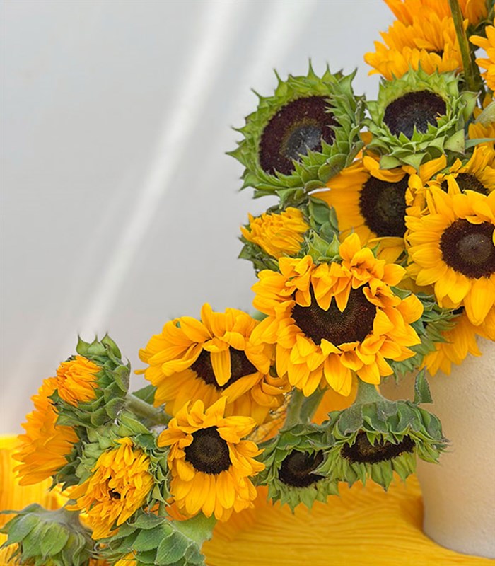 Sunflowers Seramik Vazoda Deluxe Ayçiçekleri Aranjmanı