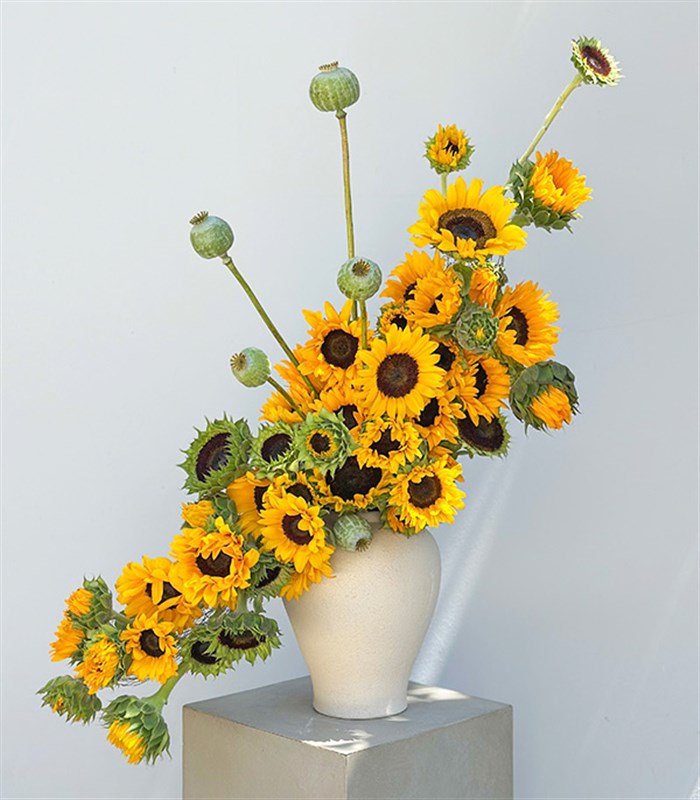 Sunflowers Seramik Vazoda Deluxe Ayçiçekleri Aranjmanı