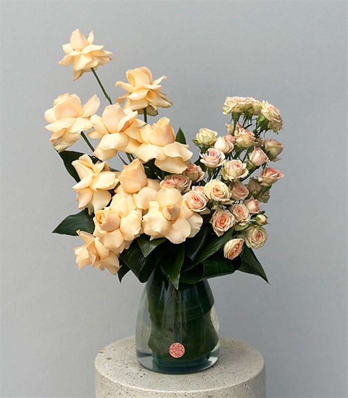 Vanilla Mist Vazoda Kayısı Güller