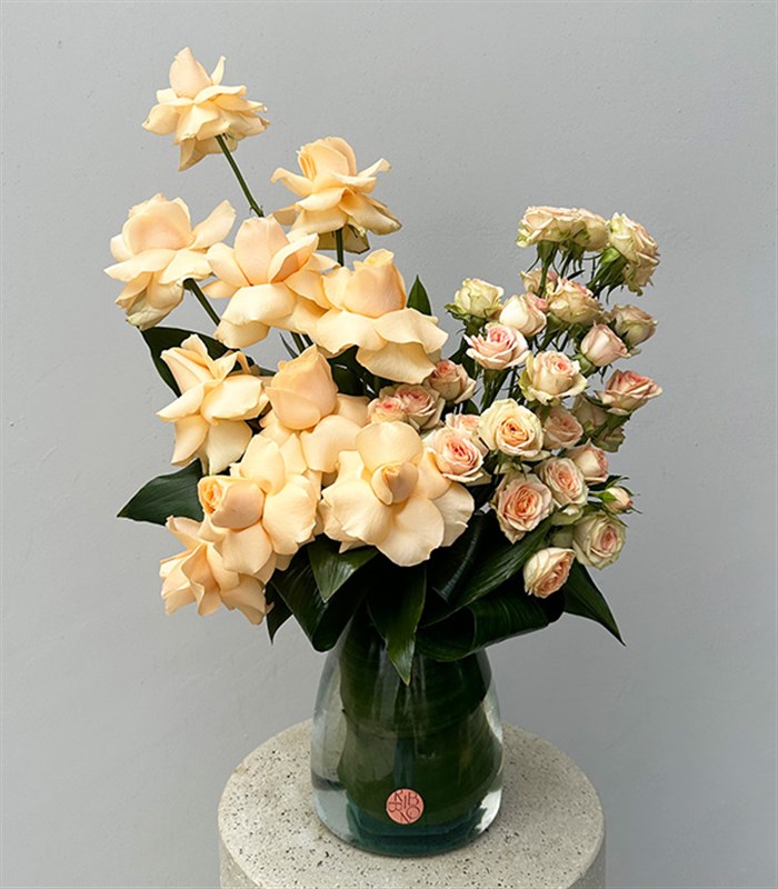 Vanilla Mist Vazoda Kayısı Güller