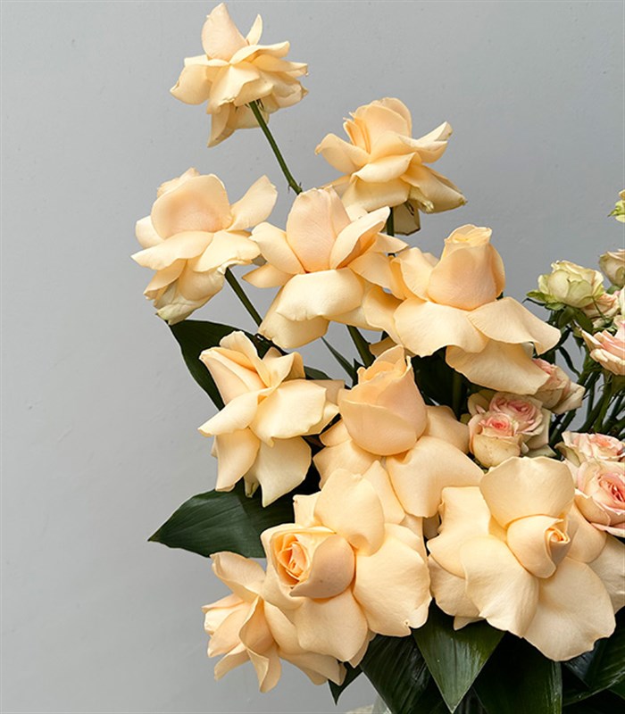 Vanilla Mist Vazoda Kayısı Güller