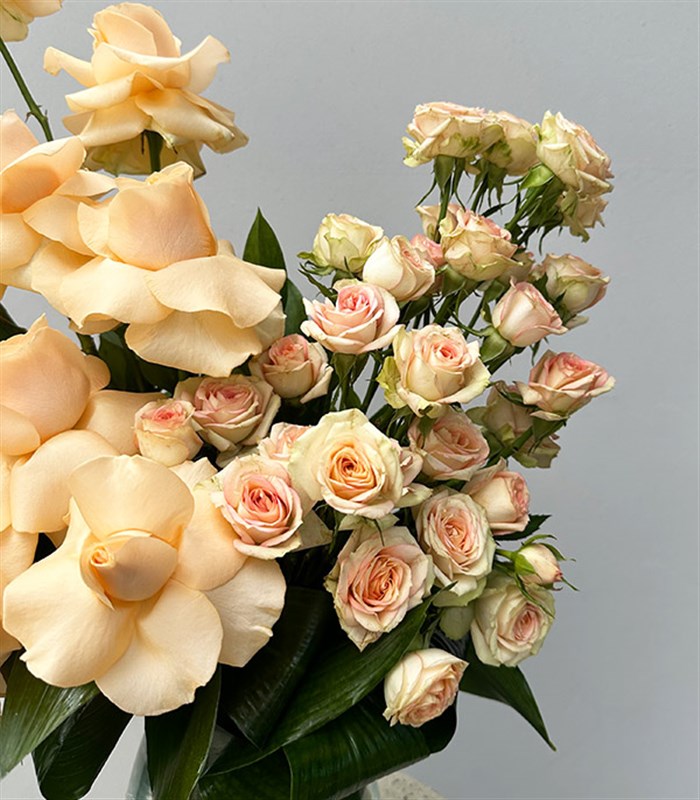 Vanilla Mist Vazoda Kayısı Güller