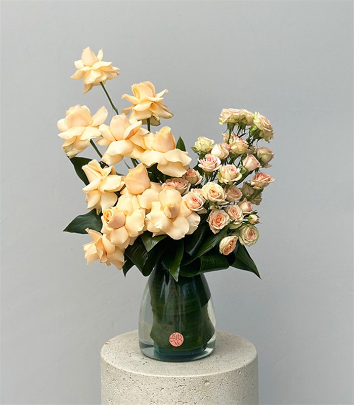 Vanilla Mist Vazoda Kayısı Güller