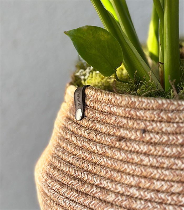 Monstera Deliciosa Hasır Sepet Saksıda Deve Tabanı 80 cm