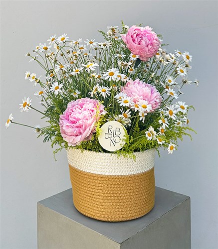 Daisies Pink Peonies Summer Arrangement in Basket