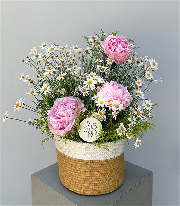 Sepette Papatyalar Pembe Şakayık Yaz Aranjmanı