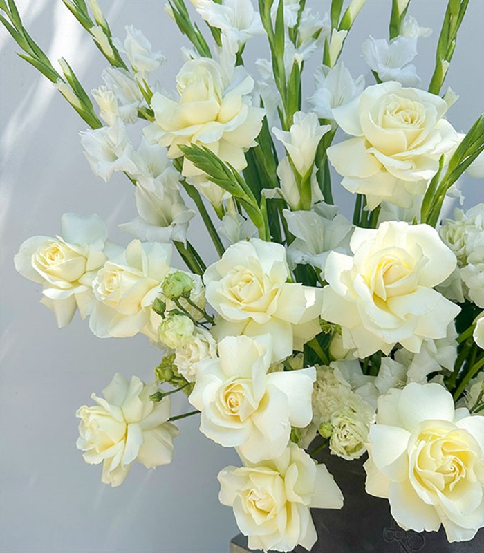 Luce Bianca Grand Deluxe Gri Kutuda Beyaz Yaz Aranjmanı