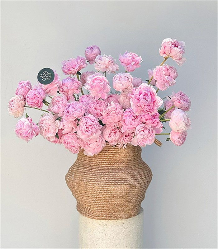 Grand Deluxe Sepette 50 Pembe Şakayık Aranjmanı