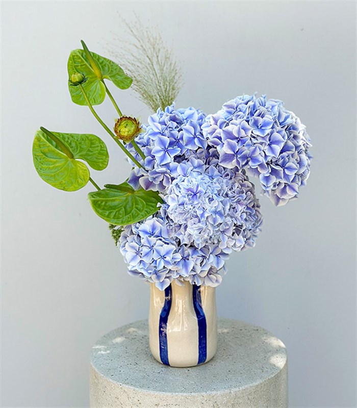 Galata El İşi Seramik Vazoda Ortanca Antoryum Aranjmanı