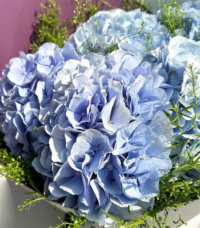 Olivia Mavi Ortanca Buketi