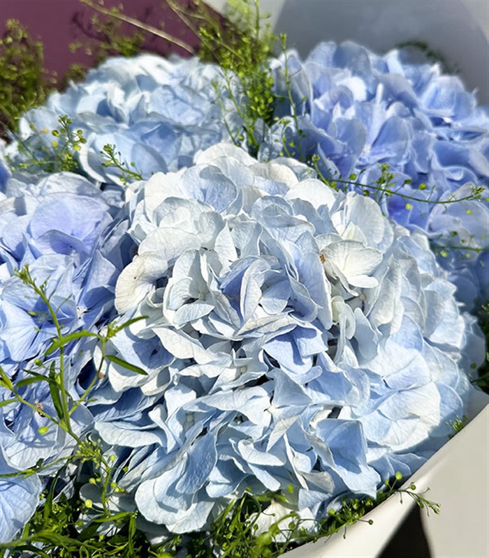 Olivia Mavi Ortanca Buketi