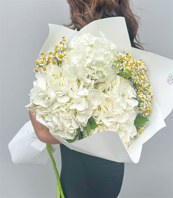 Daisyra Beyaz Ortanca Papatya Buketi