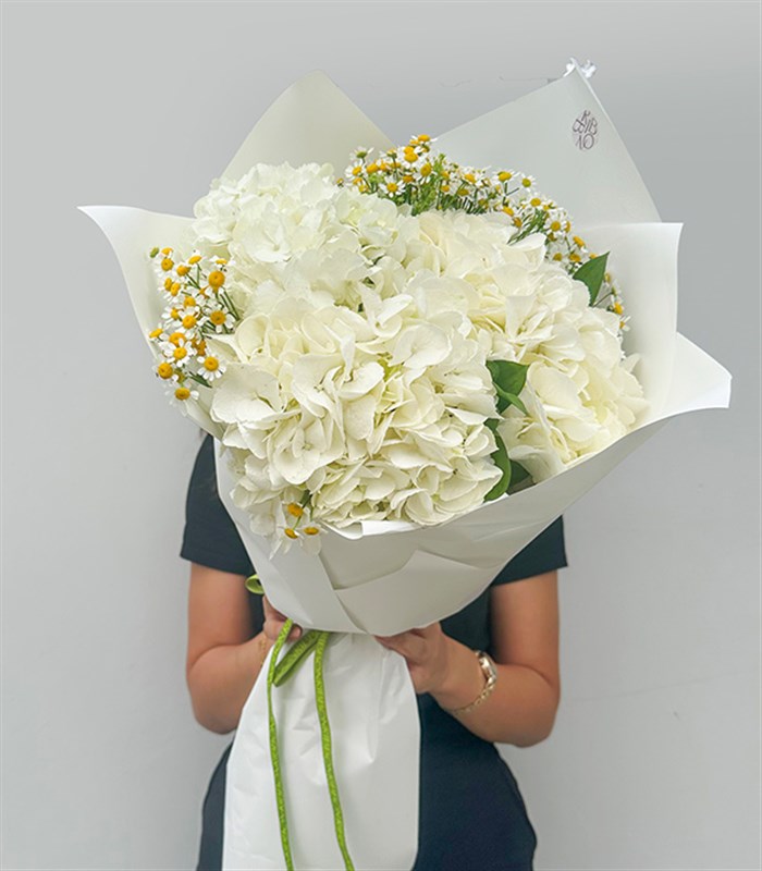 Daisyra Beyaz Ortanca Papatya Buketi