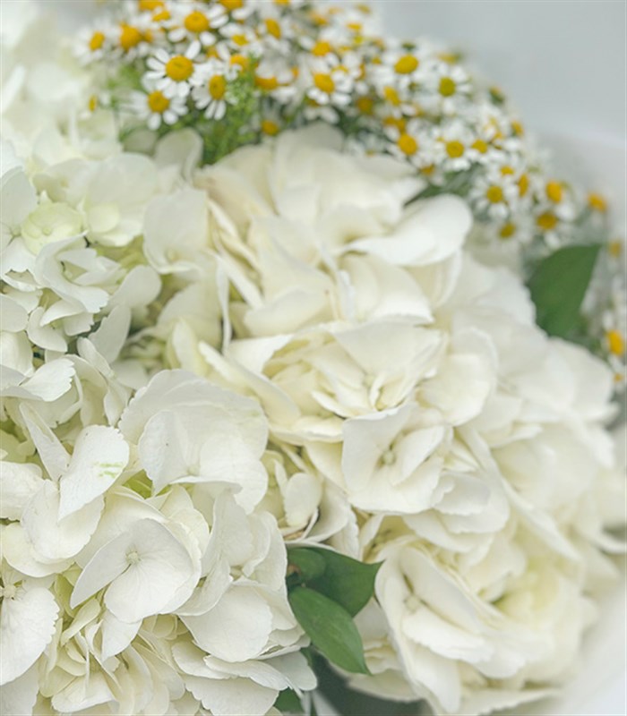 Daisyra Beyaz Ortanca Papatya Buketi