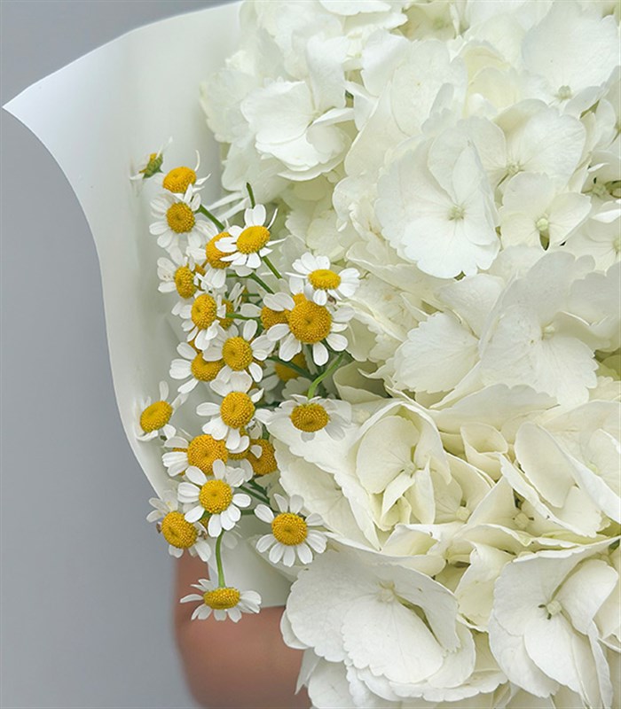 Daisyra Beyaz Ortanca Papatya Buketi