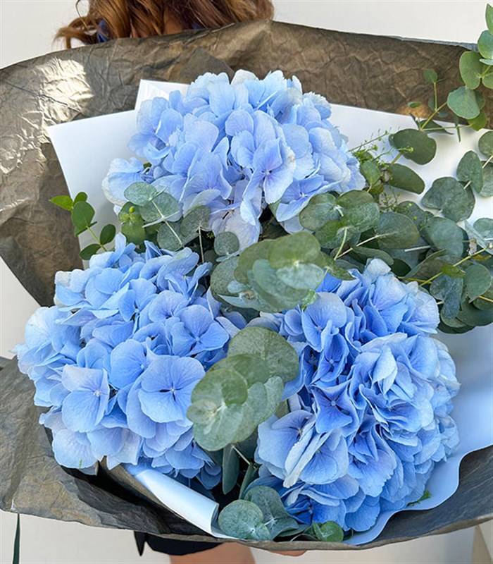 Maria Mavi Ortanca Buketi