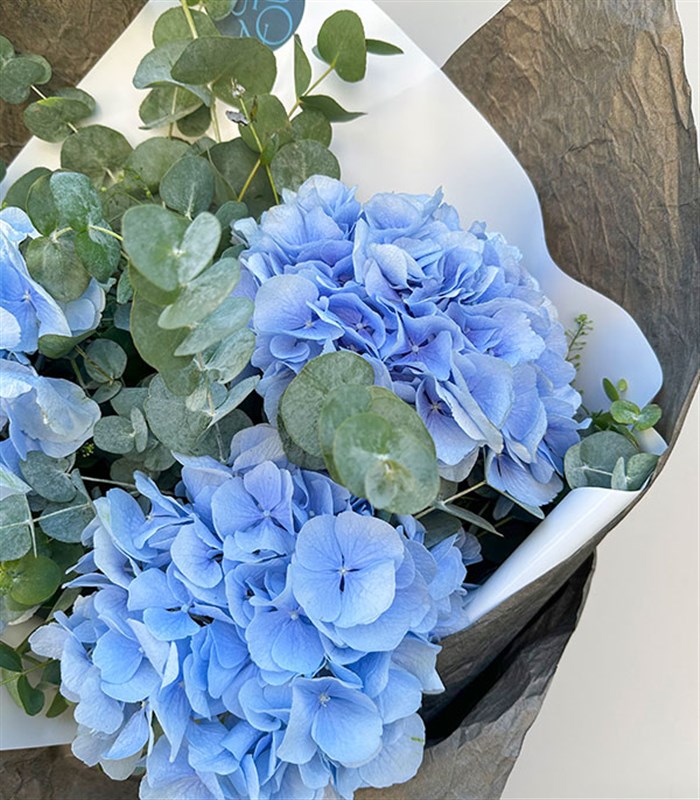 Maria Mavi Ortanca Buketi