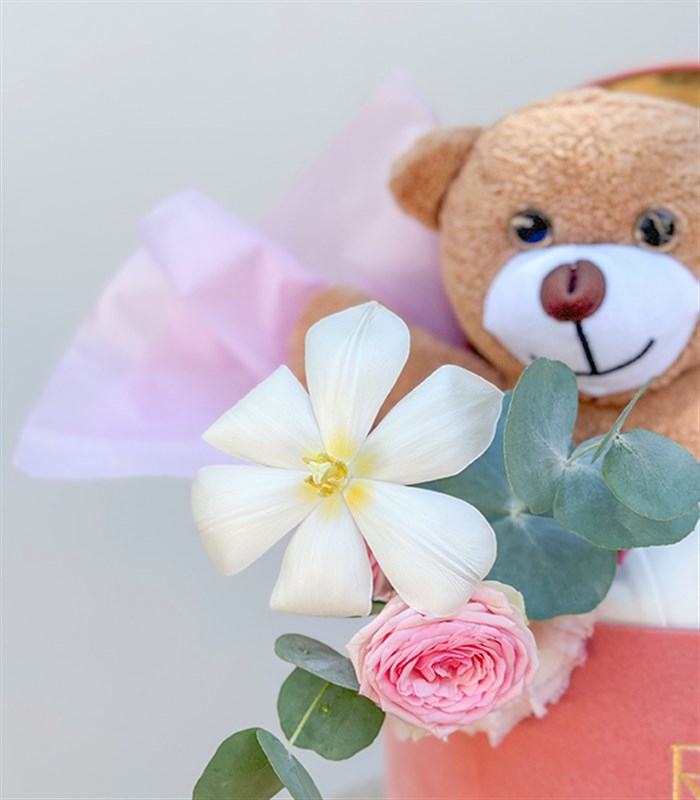 Its a Girl Mini Peluş Ayıcıklı Yenidoğan Bebek Tebrik Kutusu