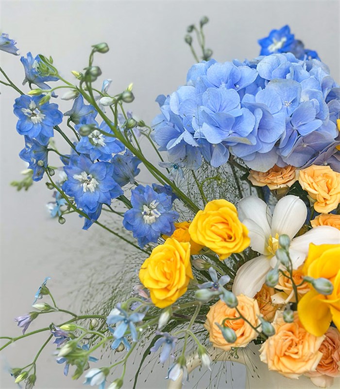 Blue Breeze Seramik Krem Sürahi Vazoda Ortanca Gül Aranjmanı