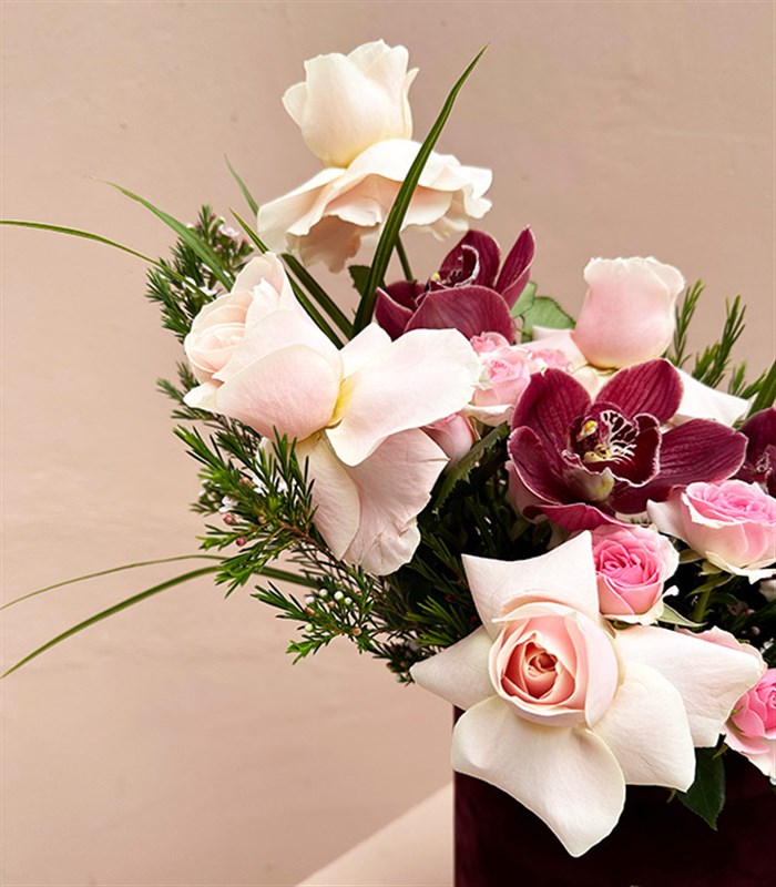 Serenity Bordo Kutu Pembe Güller