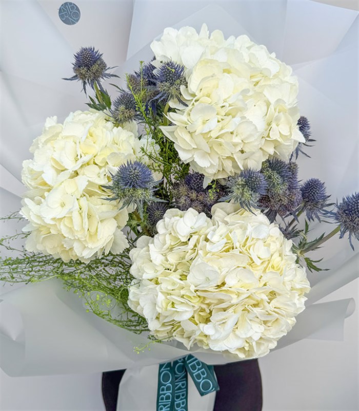 Beyaz Ortanca Erginyum Buketi