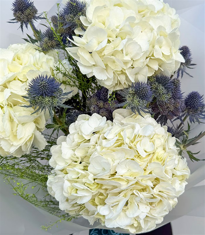 Beyaz Ortanca Erginyum Buketi