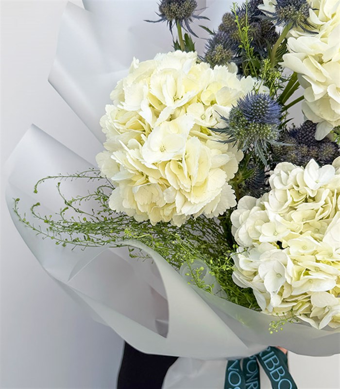 Beyaz Ortanca Erginyum Buketi