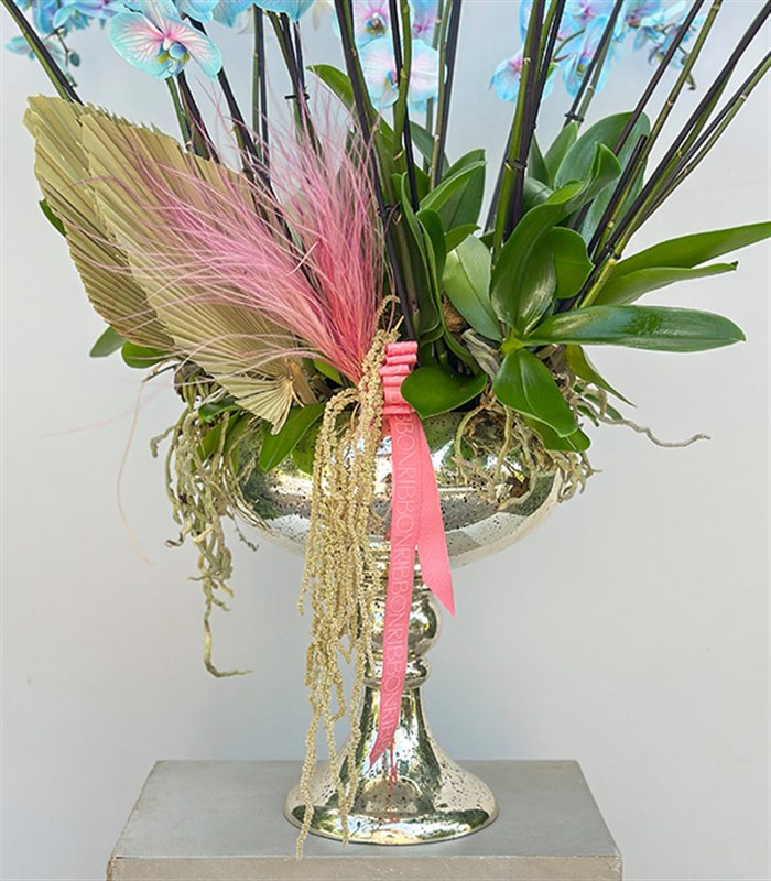 Royal Deluxe Eskitme Saksı 20 Dallı Orkide Mavi Pembe Orkide Bubble Gum