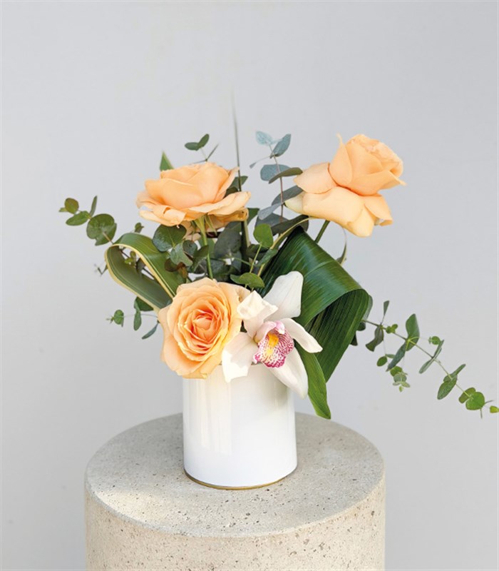 Mini Kayısı Gül Orkide Aranjmanı