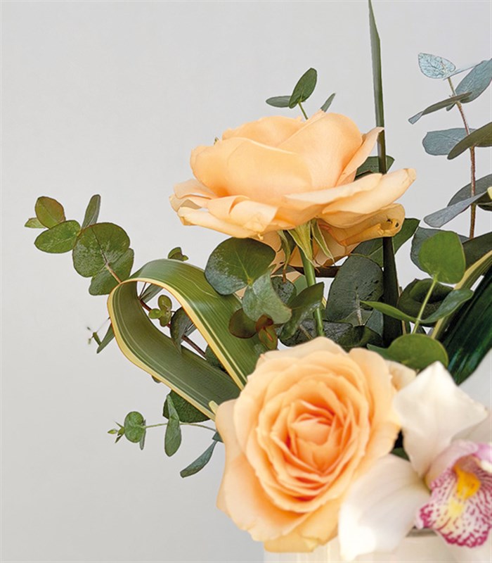 Mini Kayısı Gül Orkide Aranjmanı