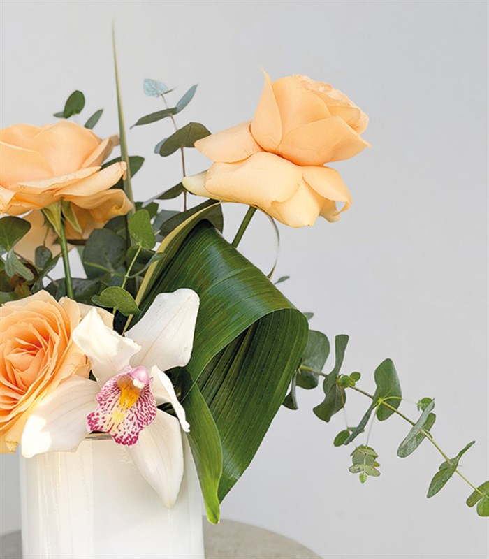 Mini Kayısı Gül Orkide Aranjmanı