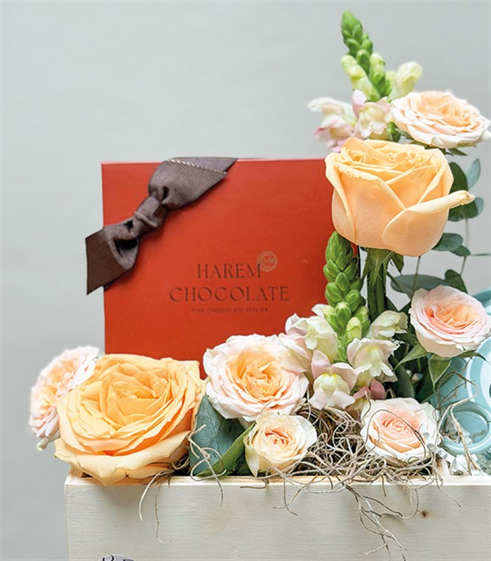 Harem Chocolate Türk Kahvesi Fincanı Hediye Kutusu