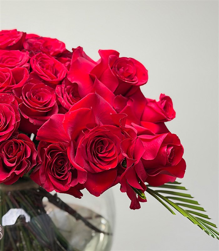 Redline Grand Cam Vazoda 50 Kırmızı Gül Aranjmanı