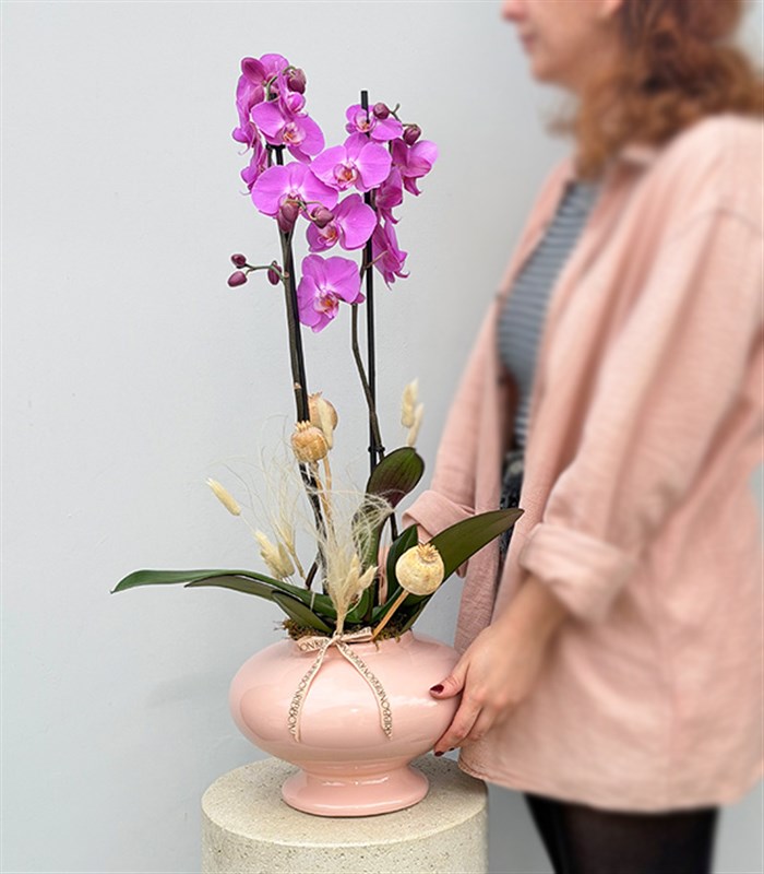 Luxe Pudra Seramik Vazoda Fuşya Orkide