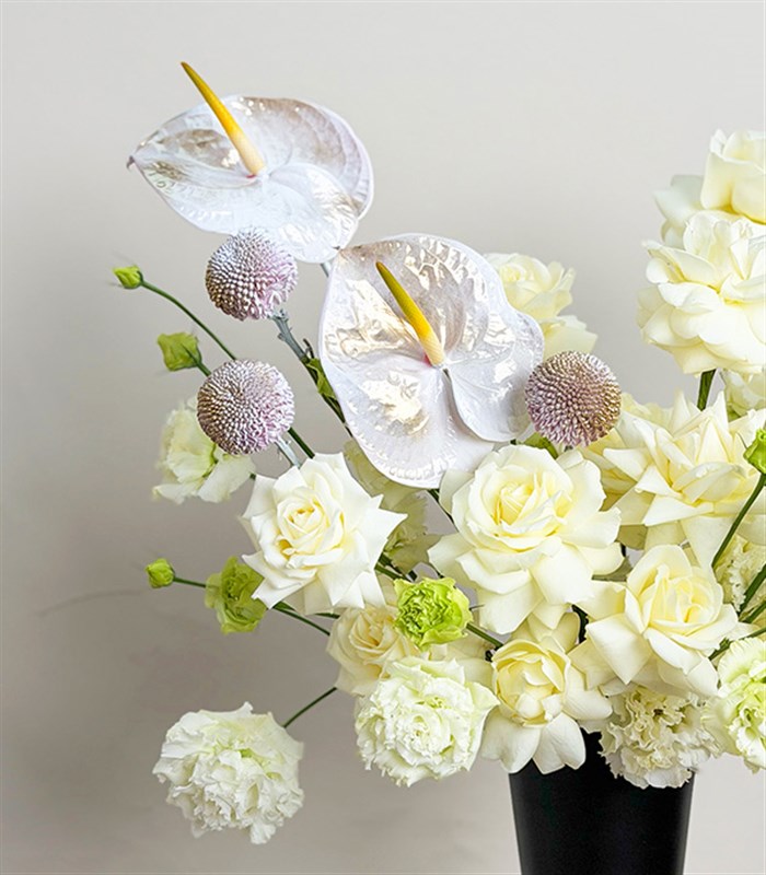 Cloud Dancer Beyaz Gül Vazo Aranjman