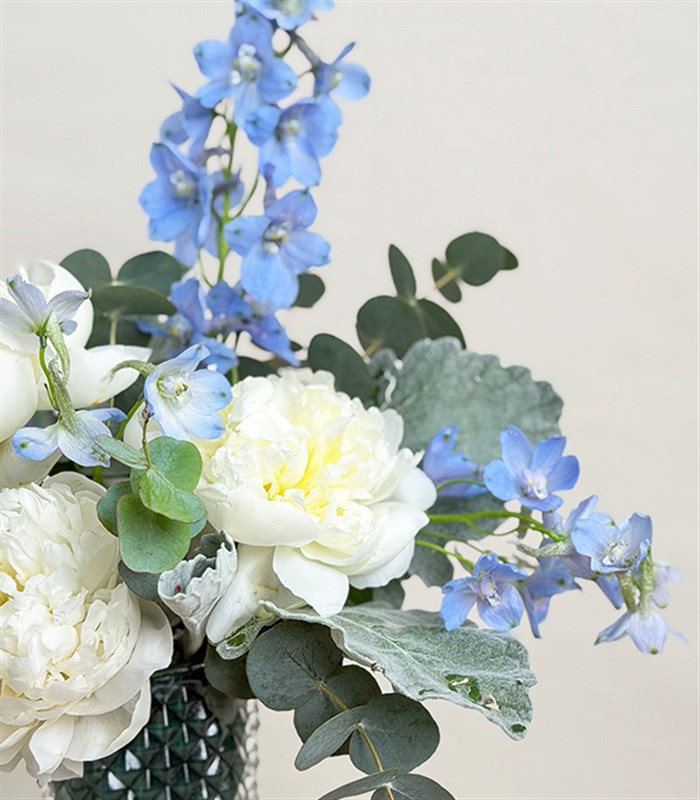 Ice Bloom Beyaz Şakayık Mavi Delfinyum Vazo Aranjmanı
