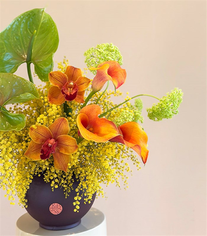 Maison Terra Seramik Vazoda Cymbidium Orkide Mimoza Aranjmanı