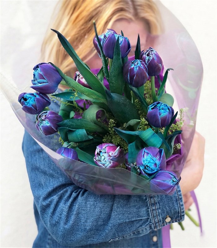 15 Galaksi Lale Buketi