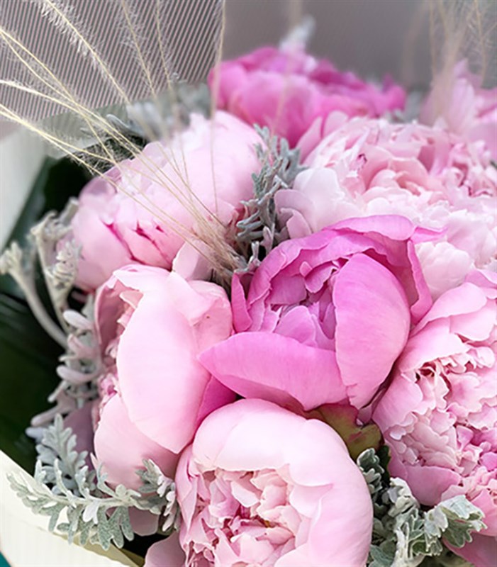 Agnes Pembe 9 Şakayık Buketi