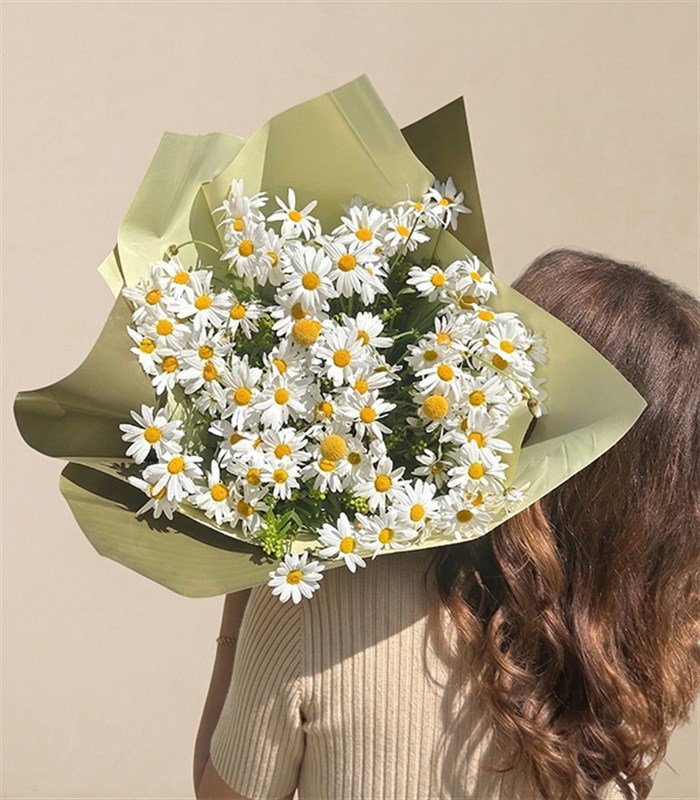 Bir Kucak Papatya Buketi