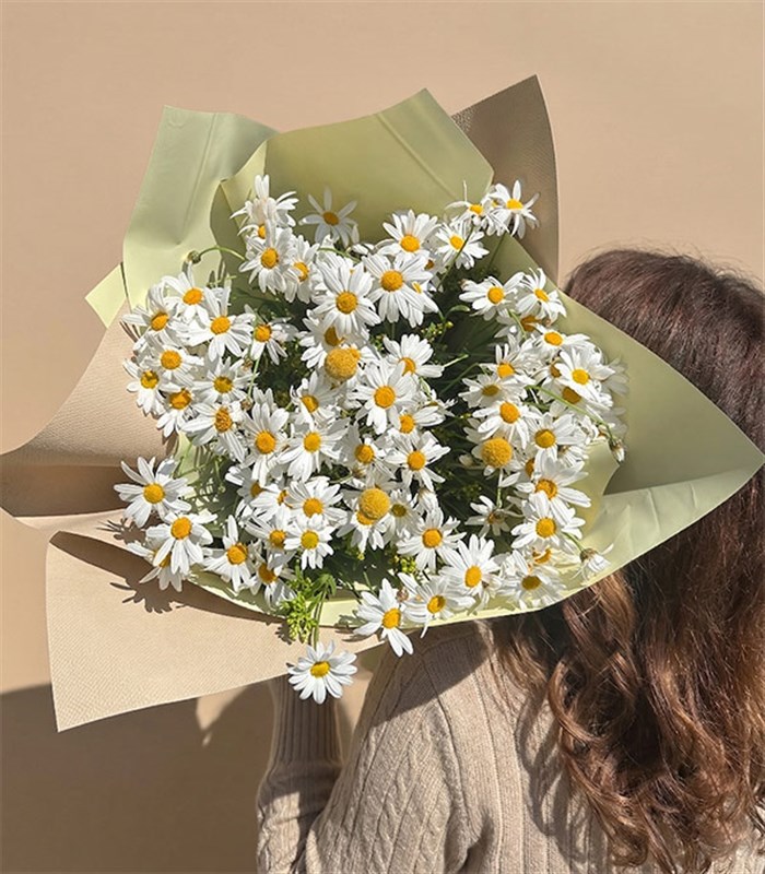 Bir Kucak Papatya Buketi