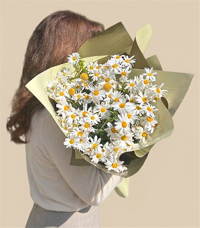 Bir Kucak Papatya Buketi