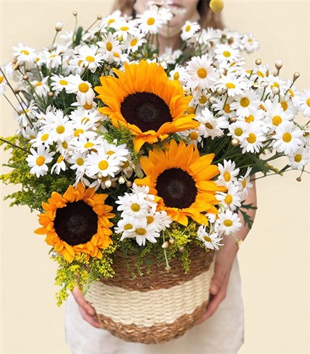 Daisies Sunflower Bouquet in Basket