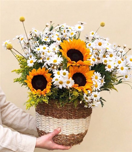 Daisies Sunflower Bouquet in Basket