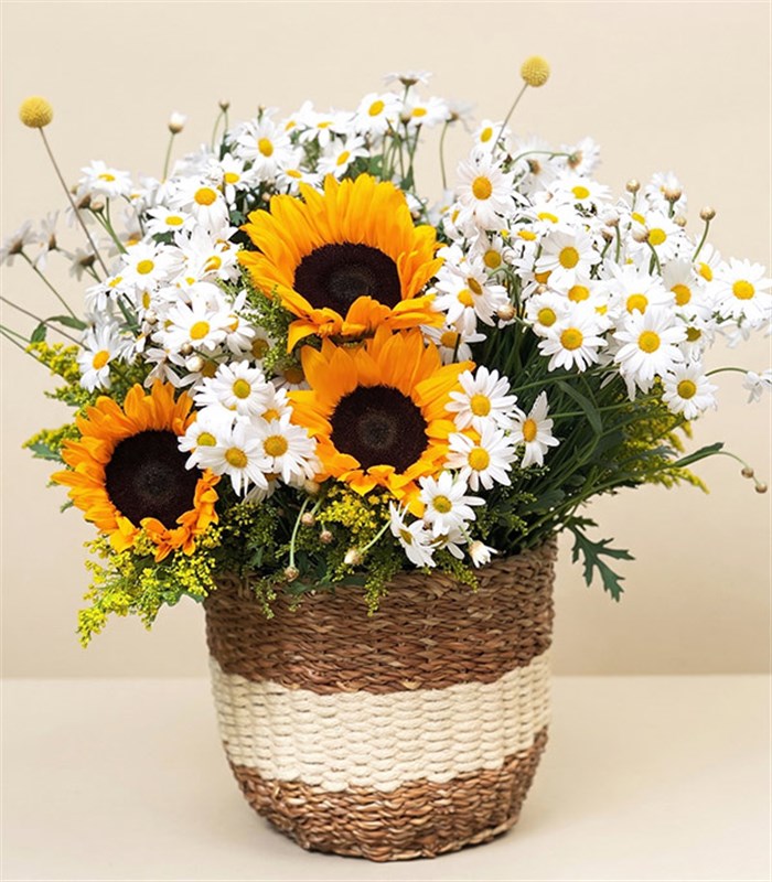Sepette Papatyalar Ayçiçeği Buketi