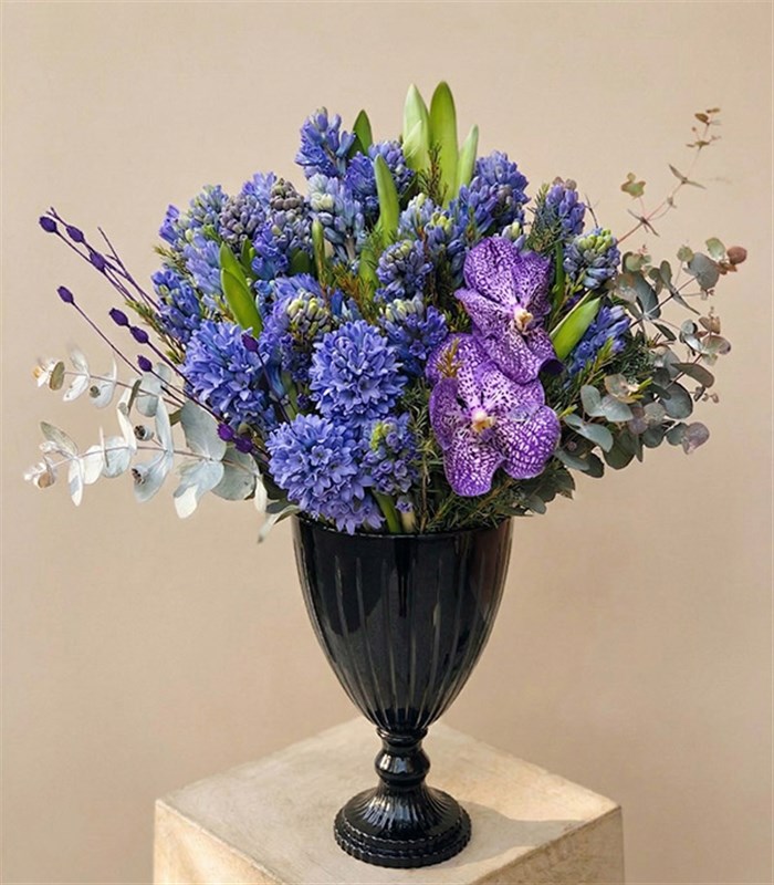 Amy Winehouse Deluxe Vazoda Sümbül Aranjman