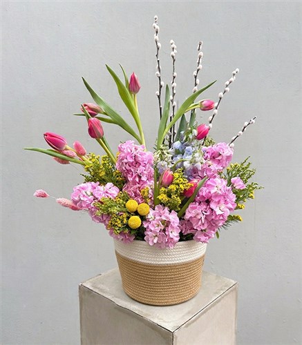 Brigitte Bardot Tulip Basket Arrangement