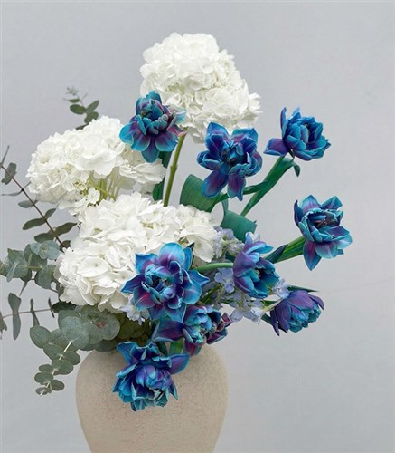 Galaxy Tulip White Hydrangea Arrangement in Deluxe Cream Ceramic Vase